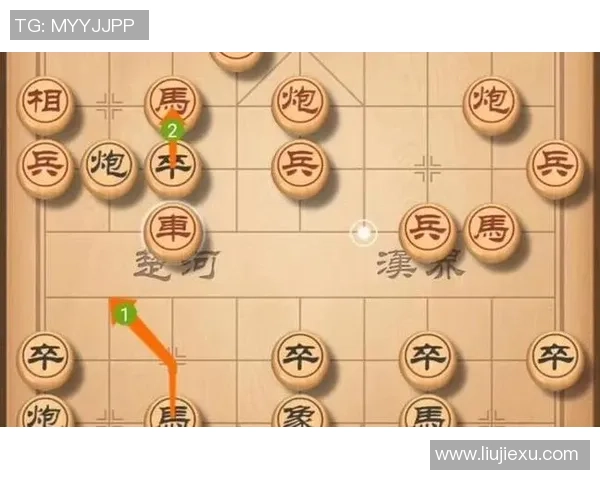 广州与武汉排球队对决后的深度分析与战术探讨